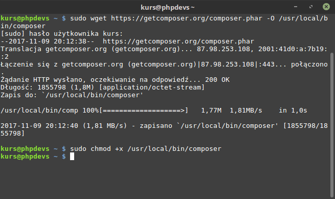 wget https://getcomposer.org/composer.phar -O /usr/local/bin/composer && chmod +x /usr/local/bin/composer